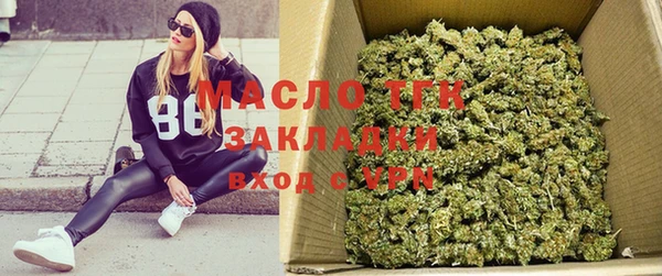 крисы Алзамай
