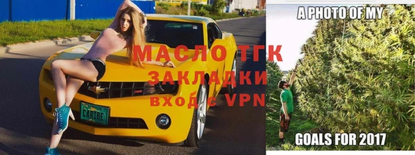 крисы Алзамай