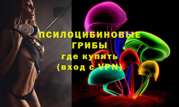 сатива Алексеевка