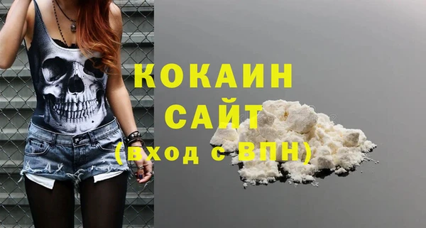 крисы Алзамай